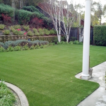 Artificial Lawn Yorkville, Tennessee Lawn And Garden, Backyard Designs