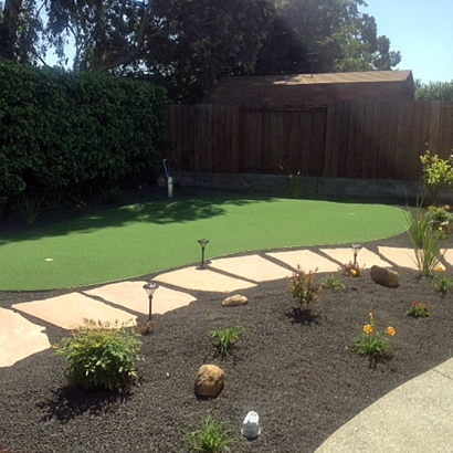 Artificial Turf Cost Gainesboro, Tennessee Best Indoor Putting Green, Backyard Ideas