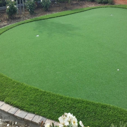 Artificial Turf Cost Robbins, Tennessee Gardeners, Backyard Landscaping