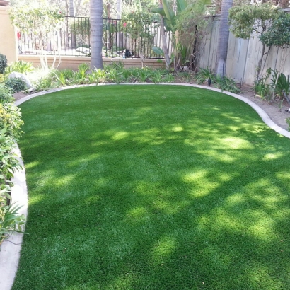 Artificial Turf Installation Braden, Tennessee Roof Top