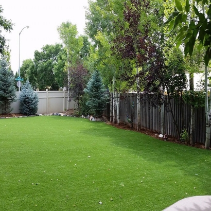 Artificial Turf Installation Dyer, Tennessee Indoor Dog Park, Backyard Landscaping