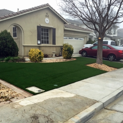 Best Artificial Grass Friendsville, Tennessee Home And Garden, Front Yard Ideas