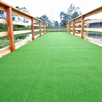 Best Artificial Grass Thompsons Station, Tennessee Indoor Dog Park, Commercial Landscape
