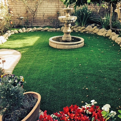 Best Artificial Grass Vanleer, Tennessee Landscape Ideas
