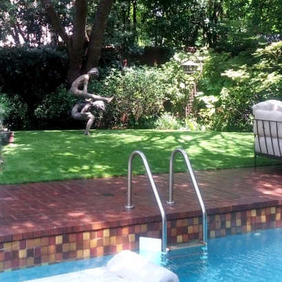 Fake Grass Columbia, Tennessee Paver Patio, Backyards