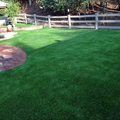Fake Grass Parker Crossroads, Tennessee Dog Run, Backyard Makeover
