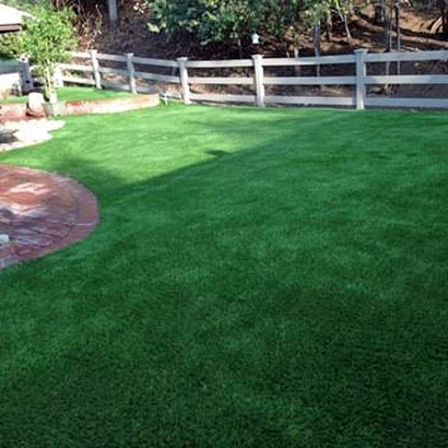 Fake Grass Parker Crossroads, Tennessee Dog Run, Backyard Makeover