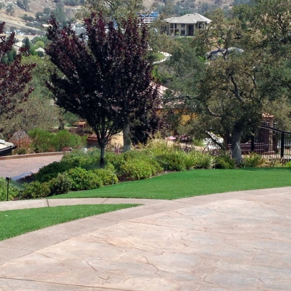 Fake Lawn Green Hill, Tennessee Lawn And Landscape, Front Yard Design