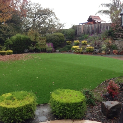 Fake Turf Bell Buckle, Tennessee Landscaping Business, Backyard Landscaping Ideas