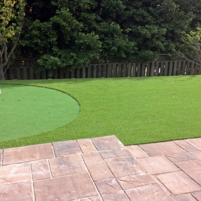 Fake Turf Eva, Tennessee Indoor Putting Greens, Backyard Design