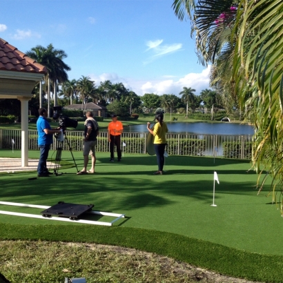 Fake Turf Gallatin, Tennessee Backyard Putting Green, Backyard Design