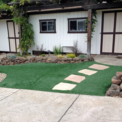 Fake Turf Kingston Springs, Tennessee Backyard Deck Ideas, Front Yard Design