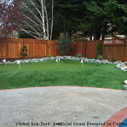 Fake Turf Mount Juliet, Tennessee Home And Garden, Backyard Design