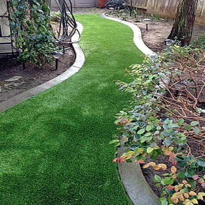 Fake Turf Sweetwater, Tennessee Landscape Ideas, Backyard Landscaping Ideas