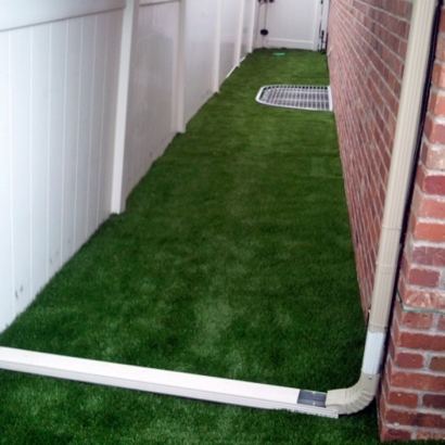 Fake Turf White House, Tennessee Garden Ideas, Backyard Landscaping