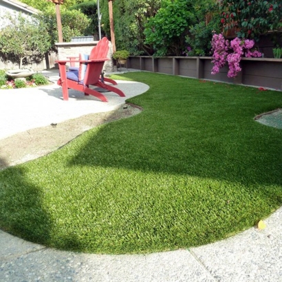 Faux Grass Andersonville, Tennessee Dog Hospital, Backyard Landscape Ideas