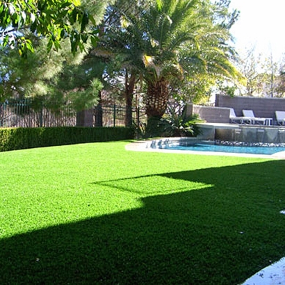 Faux Grass Louisville, Tennessee Paver Patio, Backyard Landscaping Ideas