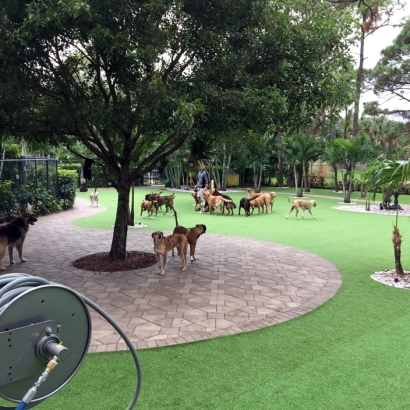 Faux Grass Midtown, Tennessee Backyard Playground, Commercial Landscape