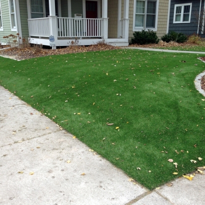 Faux Grass Watertown, Tennessee Landscape Photos, Front Yard Landscape Ideas