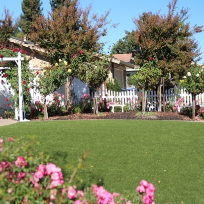 Grass Carpet Liberty, Tennessee Backyard Deck Ideas, Front Yard Design