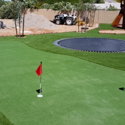 Grass Carpet Millington, Tennessee Putting Green Flags, Backyard Landscaping