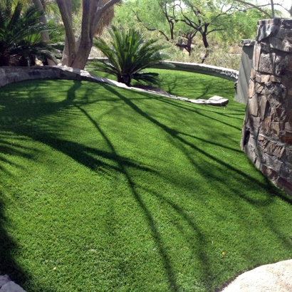 Grass Carpet White Bluff, Tennessee Dog Hospital