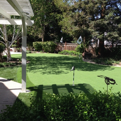 How To Install Artificial Grass Luttrell, Tennessee City Landscape