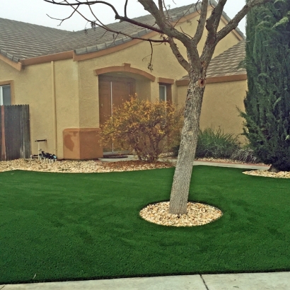 Outdoor Carpet Ridgely, Tennessee Lawns, Front Yard Ideas
