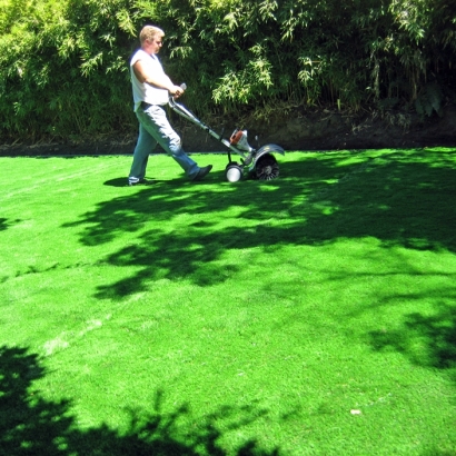 Plastic Grass Adams, Tennessee City Landscape, Backyard Landscaping Ideas