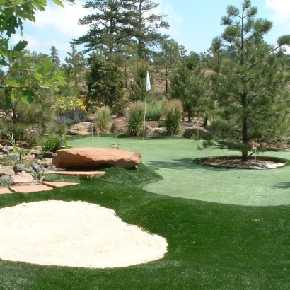 Plastic Grass Ducktown, Tennessee Golf Green, Backyard Landscaping Ideas