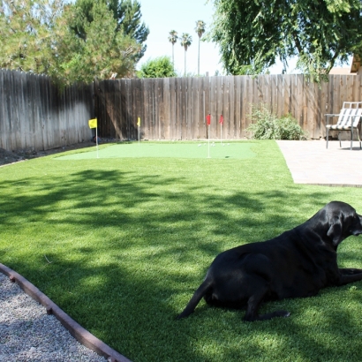Plastic Grass Greenback, Tennessee Dog Parks, Backyard Designs