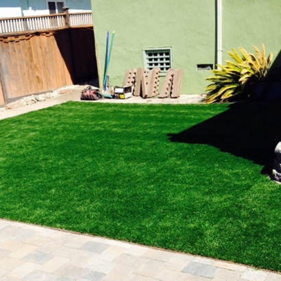 Plastic Grass Louisville, Tennessee Dog Pound, Small Backyard Ideas