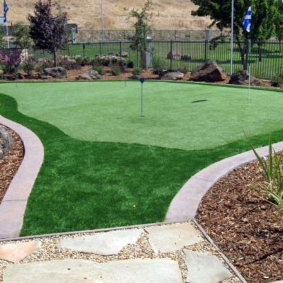 Synthetic Grass Cost Grand Junction, Tennessee Garden Ideas, Backyards