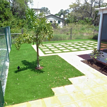 Synthetic Grass Cost Plainview, Tennessee Garden Ideas, Backyard Designs
