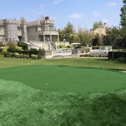 Synthetic Grass Cost Springfield, Tennessee Landscape Ideas, Front Yard Landscaping