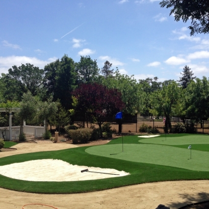 Synthetic Grass Cost Trezevant, Tennessee Putting Green Turf, Front Yard Landscape Ideas