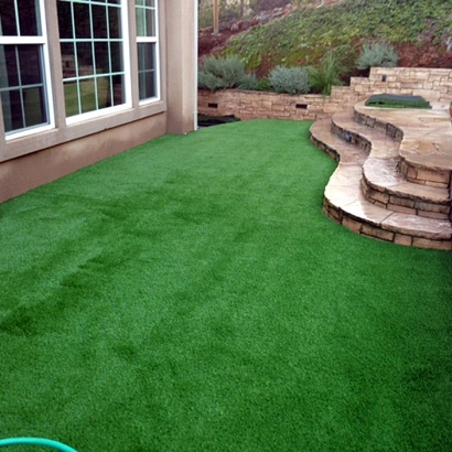 Synthetic Grass Englewood, Tennessee Lawn And Garden, Backyard Ideas