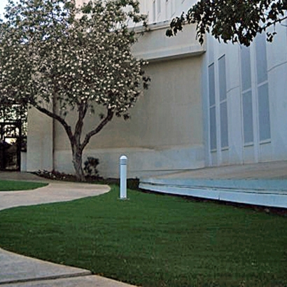 Synthetic Grass Fairview, Tennessee Lawn And Garden, Front Yard