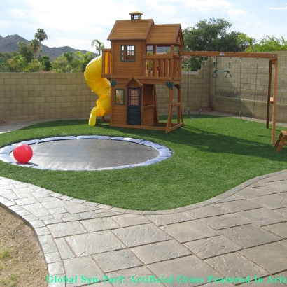 Synthetic Grass Pegram, Tennessee Indoor Playground, Backyard Landscaping Ideas