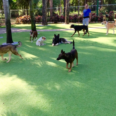 Synthetic Grass Sevierville, Tennessee Artificial Turf For Dogs, Grass for Dogs