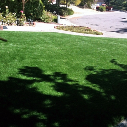 Synthetic Turf Chapel Hill, Tennessee Design Ideas, Front Yard Design