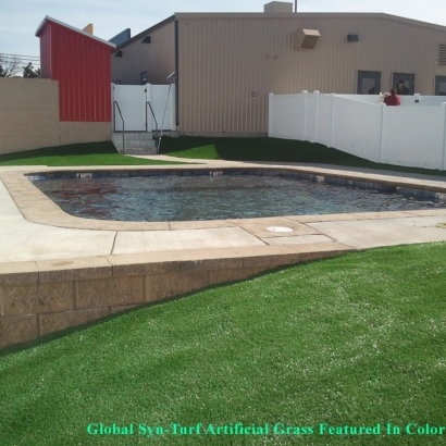 Synthetic Turf Franklin, Tennessee Backyard Playground, Swimming Pool Designs