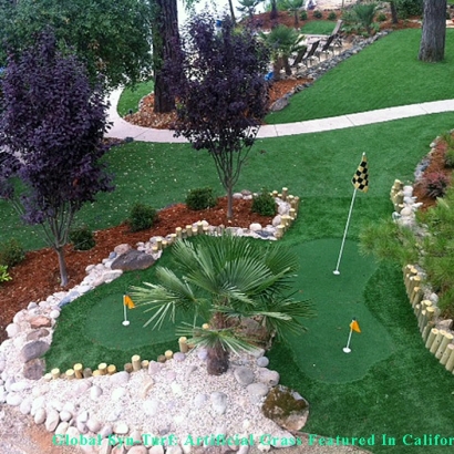 Synthetic Turf Nashville, Tennessee Putting Greens, Backyard Landscaping Ideas