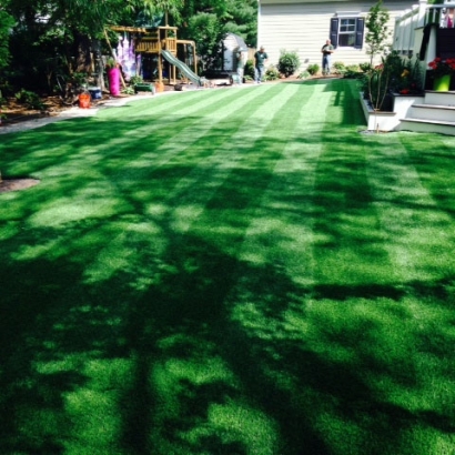 Synthetic Turf New Market, Tennessee Landscape Design, Small Backyard Ideas