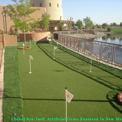 Synthetic Turf Oak Hill, Tennessee Gardeners, Beautiful Backyards