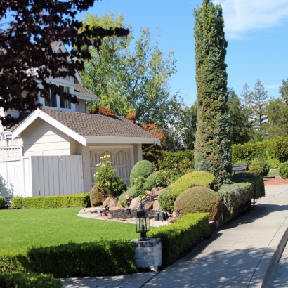 Synthetic Turf Oak Ridge, Tennessee Landscape Rock, Front Yard