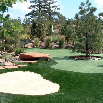 Synthetic Turf Rutherford, Tennessee Putting Green Carpet, Backyard Garden Ideas