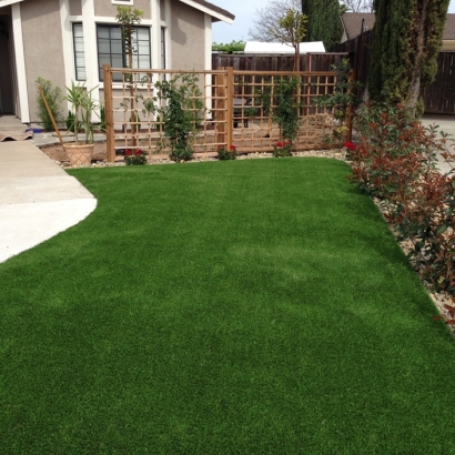 Synthetic Turf Somerville, Tennessee Landscape Ideas, Front Yard Design
