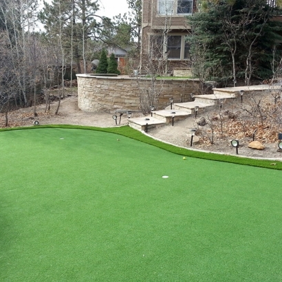 Synthetic Turf Supplier Helenwood, Tennessee Design Ideas, Backyard Landscape Ideas