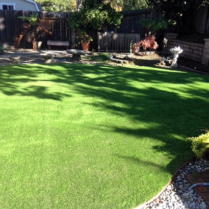 Synthetic Turf Supplier Hornbeak, Tennessee Hotel For Dogs, Small Backyard Ideas